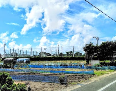 倉松町健康広場
