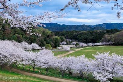 都田総合公園