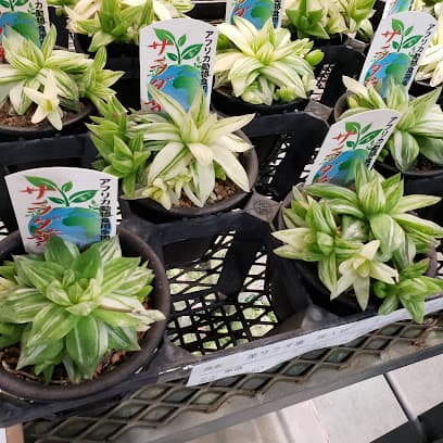 浜松生花地方卸売市場