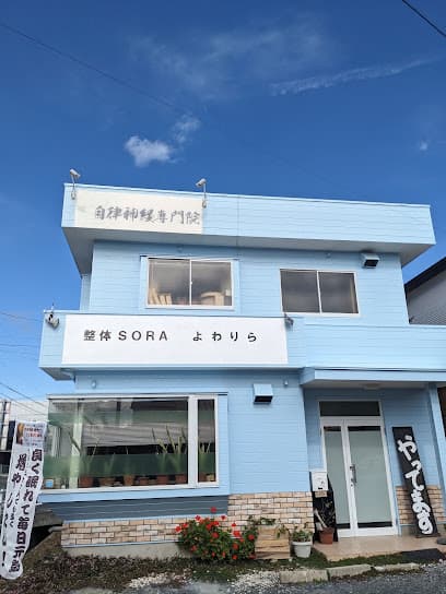 整体SORA