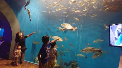 浜名湖体験学習施設 ウォット