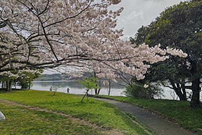 佐鳴湖公園