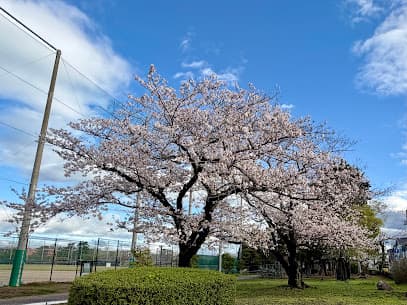 和地山公園