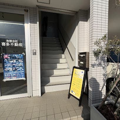 バンダ