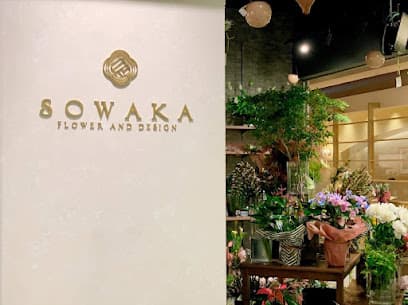 SOWAKA ZAZACITY