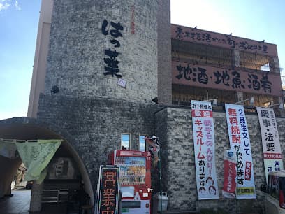 はっ葉°